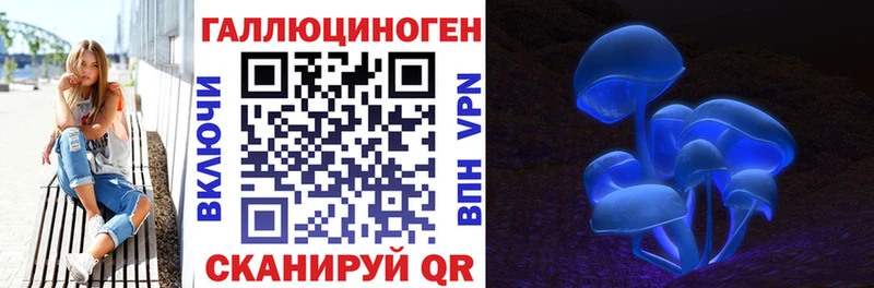 Галлюциногенные грибы Cubensis  Фролово 
